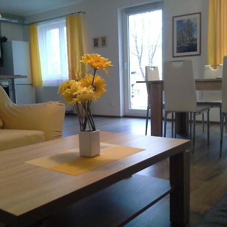 Rodinny Apartman Lucie V Blizkosti Wellness Hotelu Ve Frymburku Zewnętrze zdjęcie
