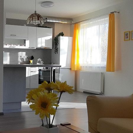 Rodinny Apartman Lucie V Blizkosti Wellness Hotelu Ve Frymburku Zewnętrze zdjęcie