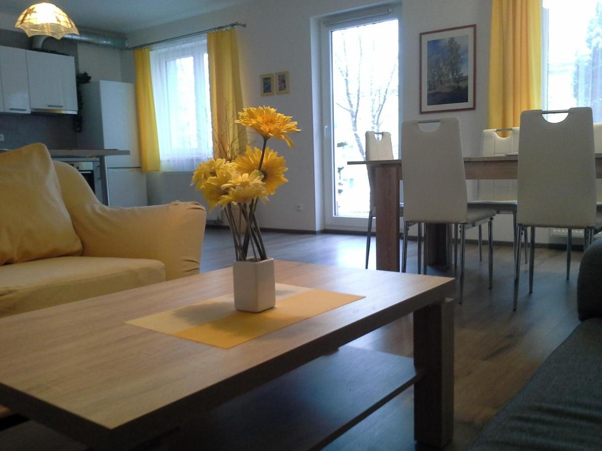 Rodinny Apartman Lucie V Blizkosti Wellness Hotelu Ve Frymburku Zewnętrze zdjęcie