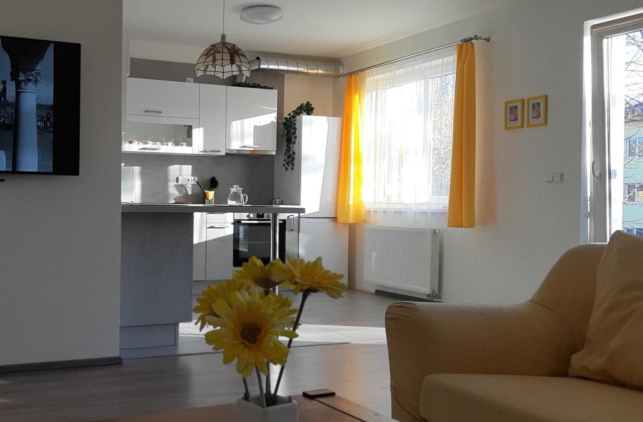 Rodinny Apartman Lucie V Blizkosti Wellness Hotelu Ve Frymburku Zewnętrze zdjęcie