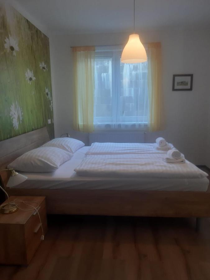 Rodinny Apartman Lucie V Blizkosti Wellness Hotelu Ve Frymburku Zewnętrze zdjęcie