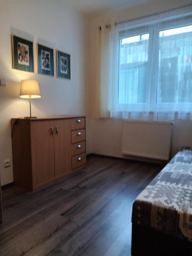 Rodinny Apartman Lucie V Blizkosti Wellness Hotelu Ve Frymburku Zewnętrze zdjęcie